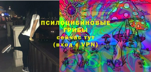 гидропоника Нея